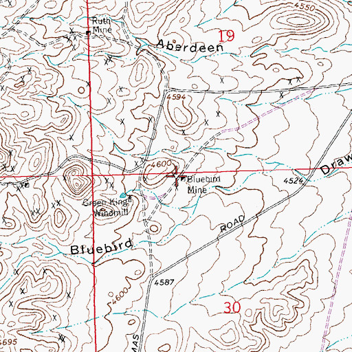 Topographic Map of Bluebird Mine, NM