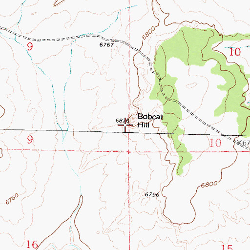 Topographic Map of Bobcat Hill, NM