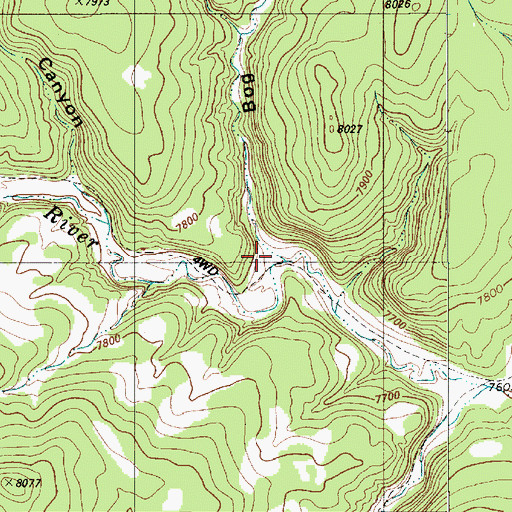 Topographic Map of Bog Canyon, NM