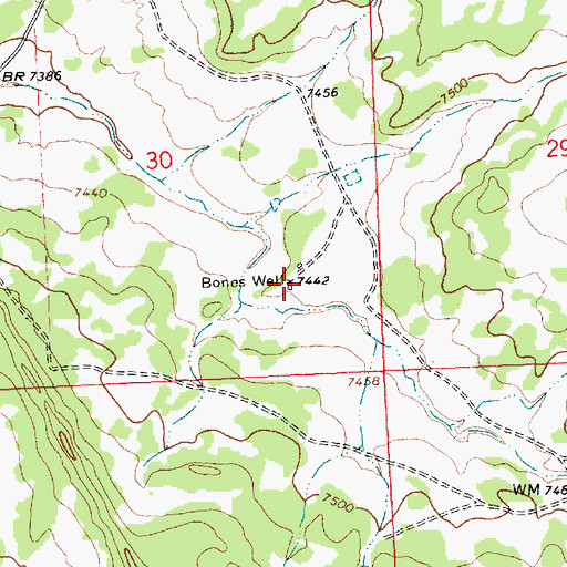 Topographic Map of Bones Well, NM