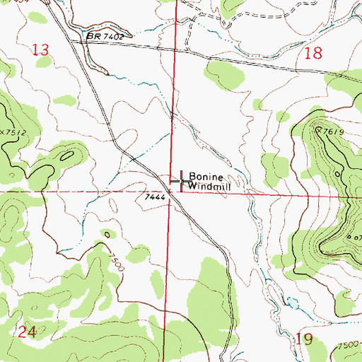 Topographic Map of Bonine Windmill, NM