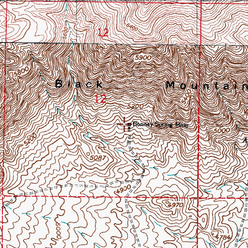 Topographic Map of Bonney Spring Mine, NM