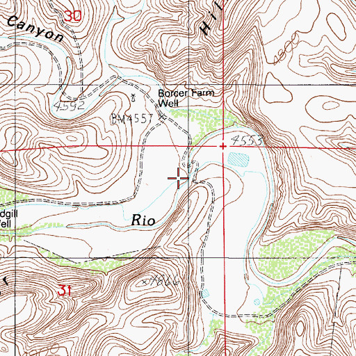 Topographic Map of Border Farm, NM