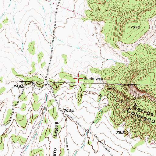 Topographic Map of Bordo Well, NM
