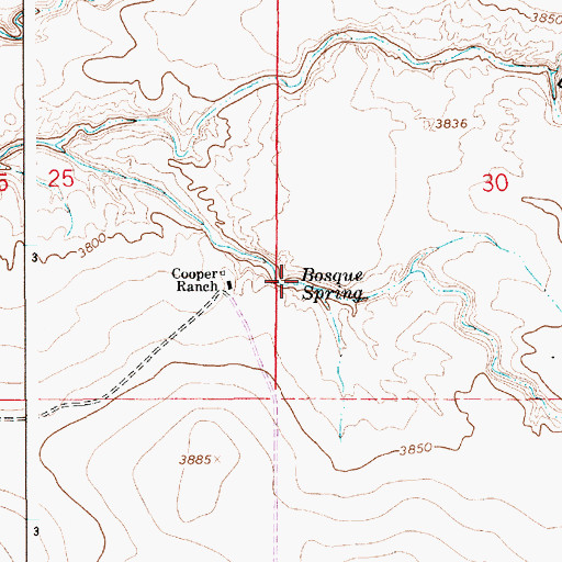 Topographic Map of Bosque Spring, NM