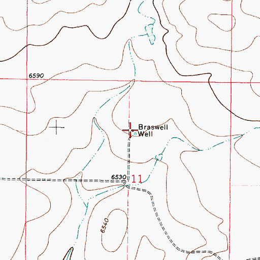 Topographic Map of Braswell Well, NM