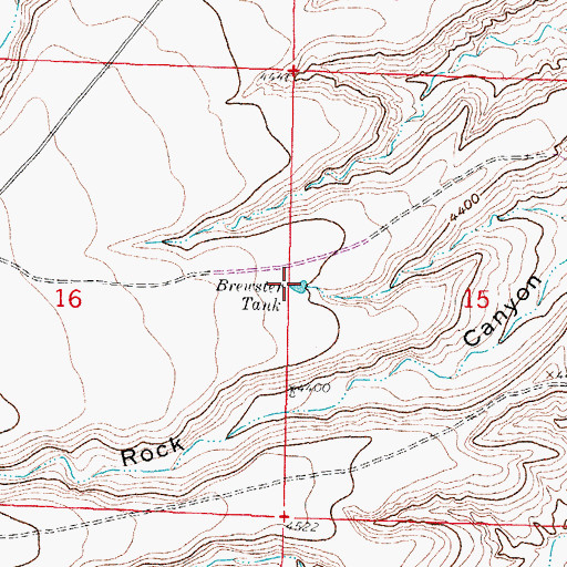 Topographic Map of Brewster Tank, NM