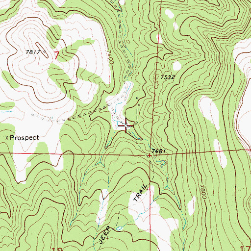 Topographic Map of Brides Pocket, NM