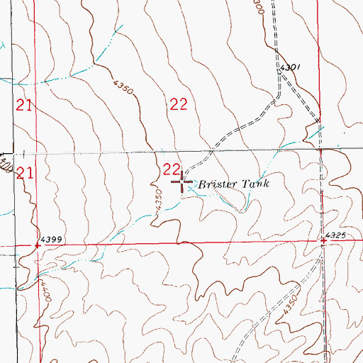 Topographic Map of Brister Tank, NM