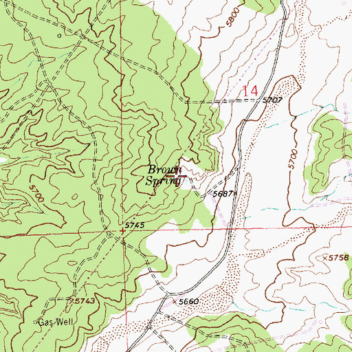 Topographic Map of Brown Spring, NM