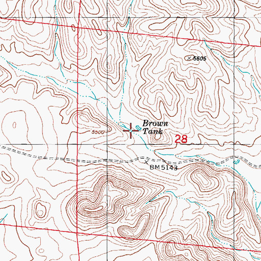 Topographic Map of Brown Tank, NM