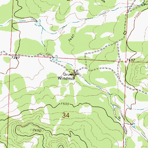 Topographic Map of Brown Windmill, NM