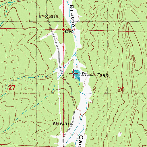 Topographic Map of Brush Tank, NM
