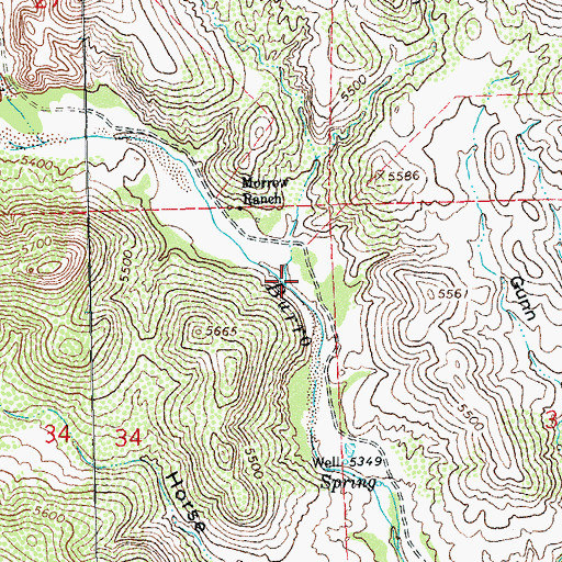 Topographic Map of Brushy Canyon, NM