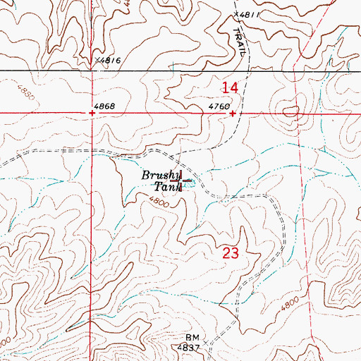 Topographic Map of Brushy Tank, NM