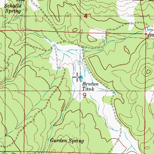Topographic Map of Bruton Tank, NM