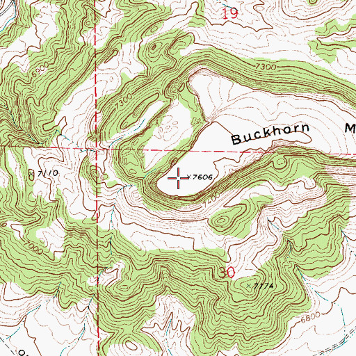 Topographic Map of Buckhorn Mesa, NM