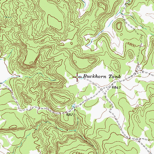 Topographic Map of Buckhorn Tank, NM