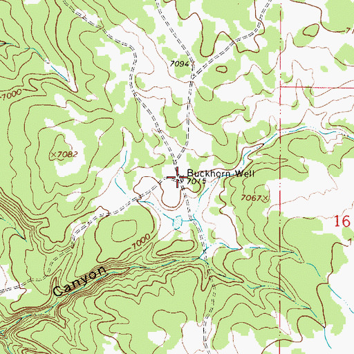 Topographic Map of Buckhorn Well, NM