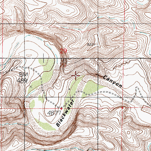 Topographic Map of Buckwater Spring, NM