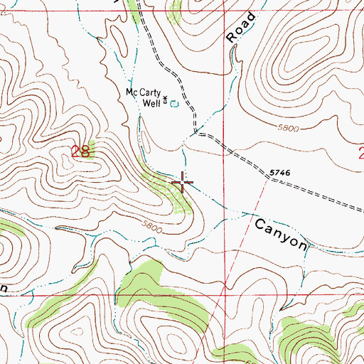 Topographic Map of Buell Canyon, NM