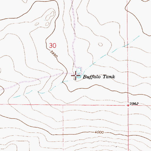 Topographic Map of Buffalo Tank, NM