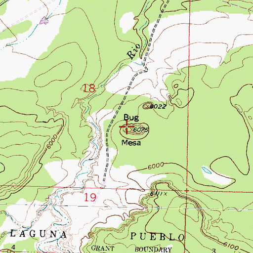 Topographic Map of Bug Mesa, NM