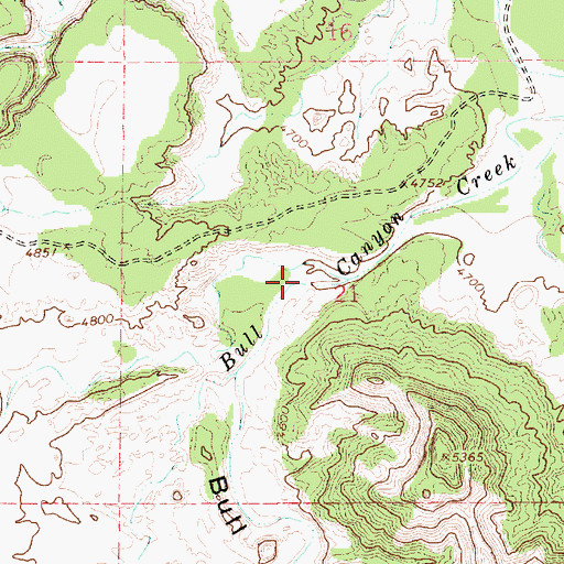 Topographic Map of Bull Canyon, NM