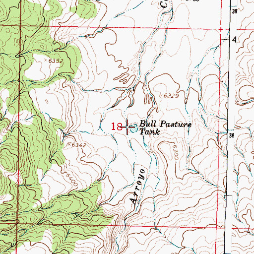 Topographic Map of Bull Pasture Tank, NM