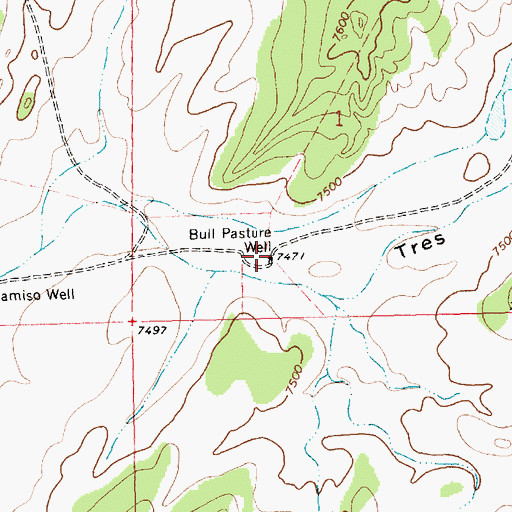 Topographic Map of Bull Pasture Well, NM