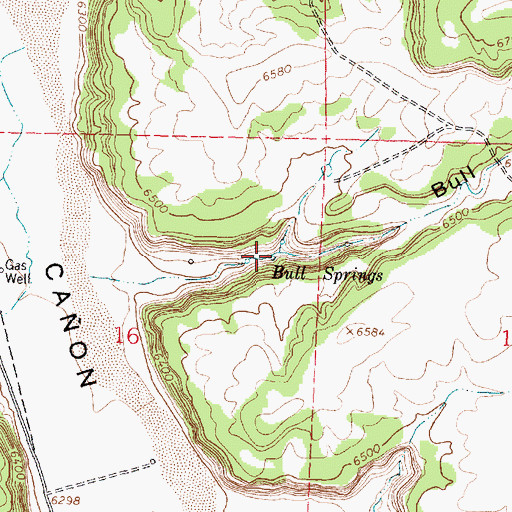 Topographic Map of Bull Springs, NM