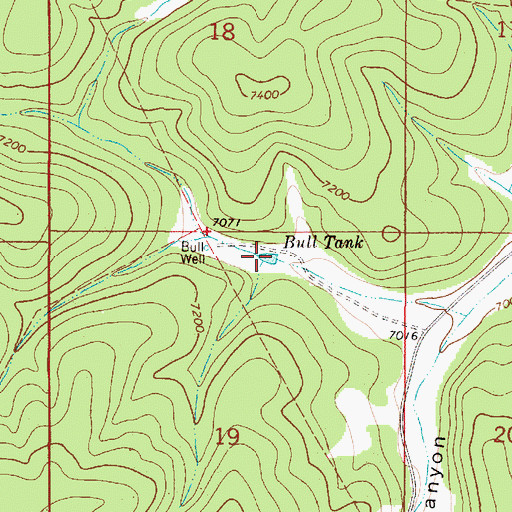 Topographic Map of Bull Tank, NM