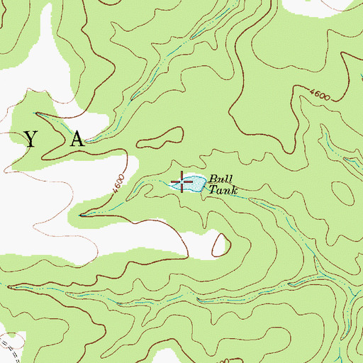 Topographic Map of Bull Tank, NM