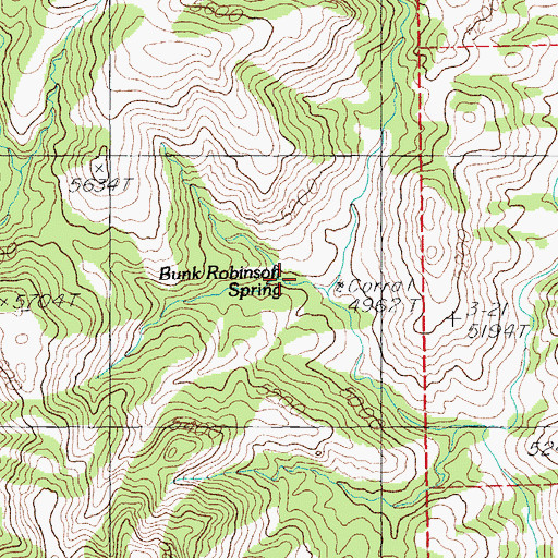 Topographic Map of Bunk Robinson Spring, NM