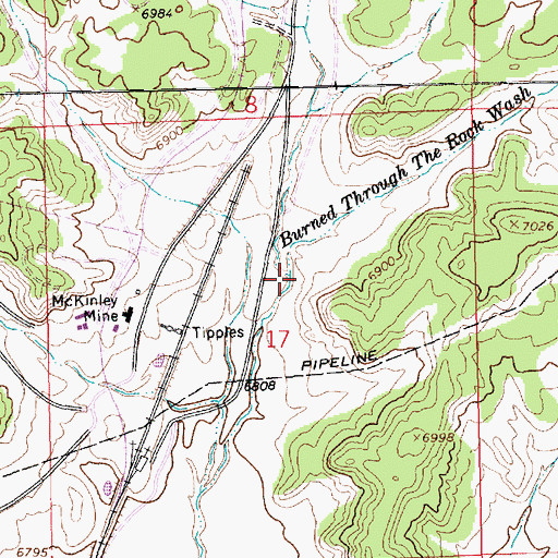Topographic Map of Burned Through the Rock Wash, NM