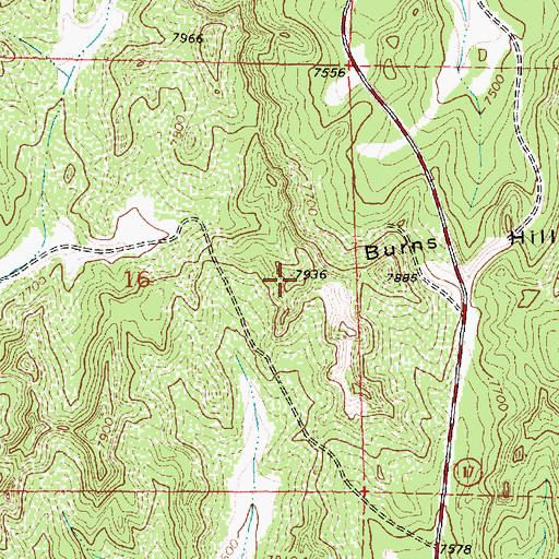 Topographic Map of Burns Hill, NM