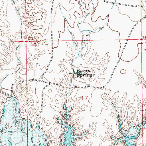 Topographic Map of Burr/ Springs, NM