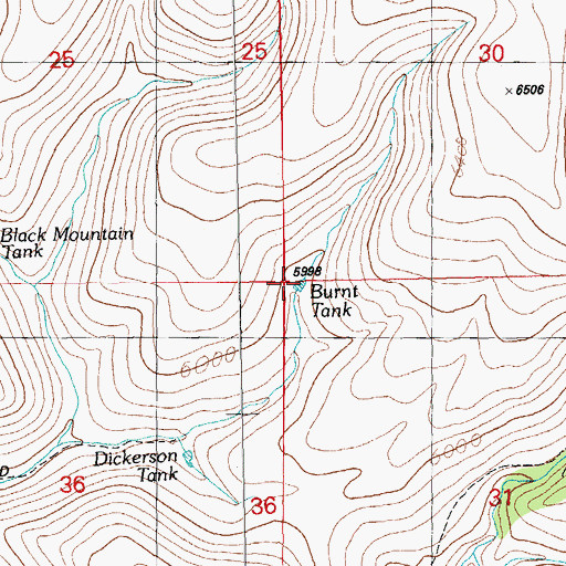 Topographic Map of Burnt Tank, NM