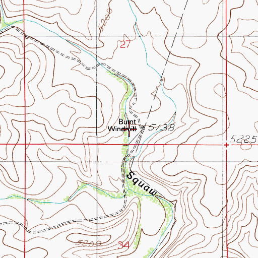 Topographic Map of Burnt Windmill, NM