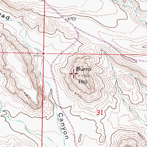 Topographic Map of Burro Hill, NM