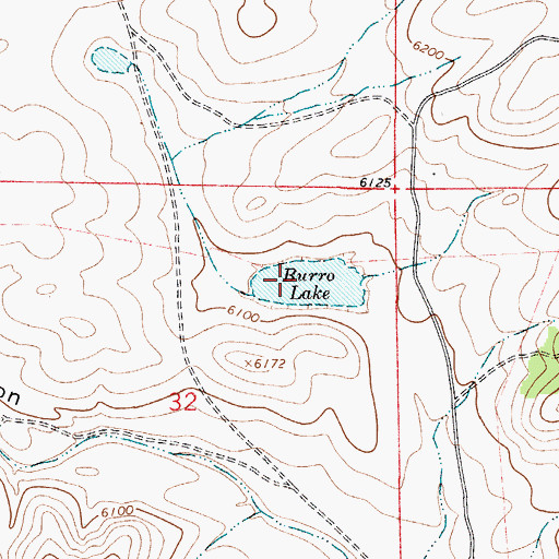 Topographic Map of Burro Lake, NM