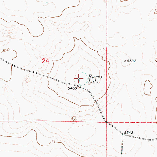 Topographic Map of Burro Lake, NM
