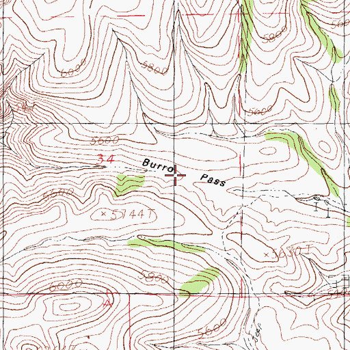 Topographic Map of Burro Pass, NM