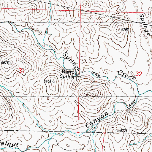 Topographic Map of Burro Spring, NM