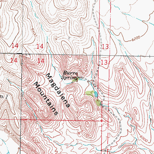 Topographic Map of Burro Spring, NM