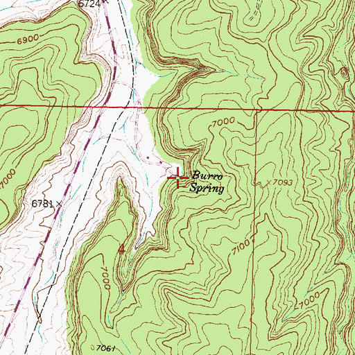 Topographic Map of Burro Spring, NM