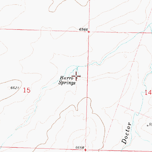 Topographic Map of Burro Springs, NM