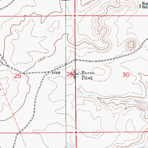 Topographic Map of Burro Tank, NM