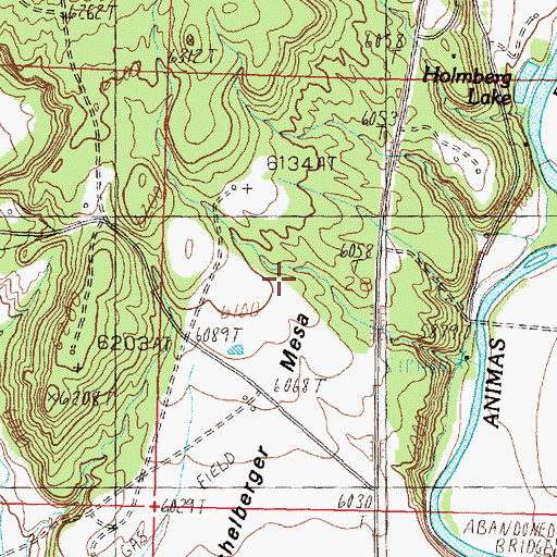 Topographic Map of Bushelberger Mesa, NM
