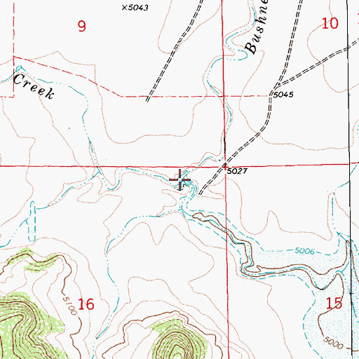 Topographic Map of Bushnell Creek, NM